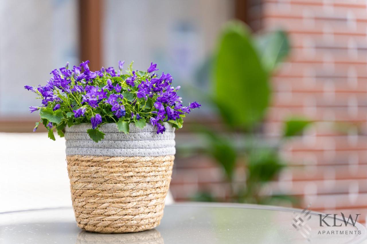 شتشيتسين Klw Apartments Garden Centrum - Klimatyzacja المظهر الخارجي الصورة