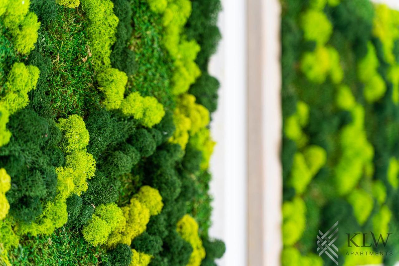شتشيتسين Klw Apartments Garden Centrum - Klimatyzacja المظهر الخارجي الصورة